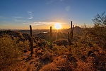 photo thumbnail #11