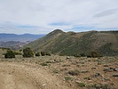 photo thumbnail #14
