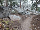 photo thumbnail #2