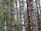 photo thumbnail #5