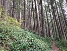 photo thumbnail #8