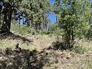 photo thumbnail #3