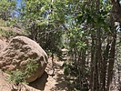 photo thumbnail #8