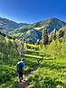 photo thumbnail #9