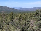 photo thumbnail #6