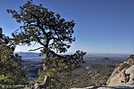 photo thumbnail #10