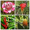 photo thumbnail #4
