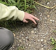 photo thumbnail #14