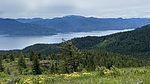 photo thumbnail #9