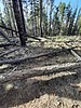 photo thumbnail #11