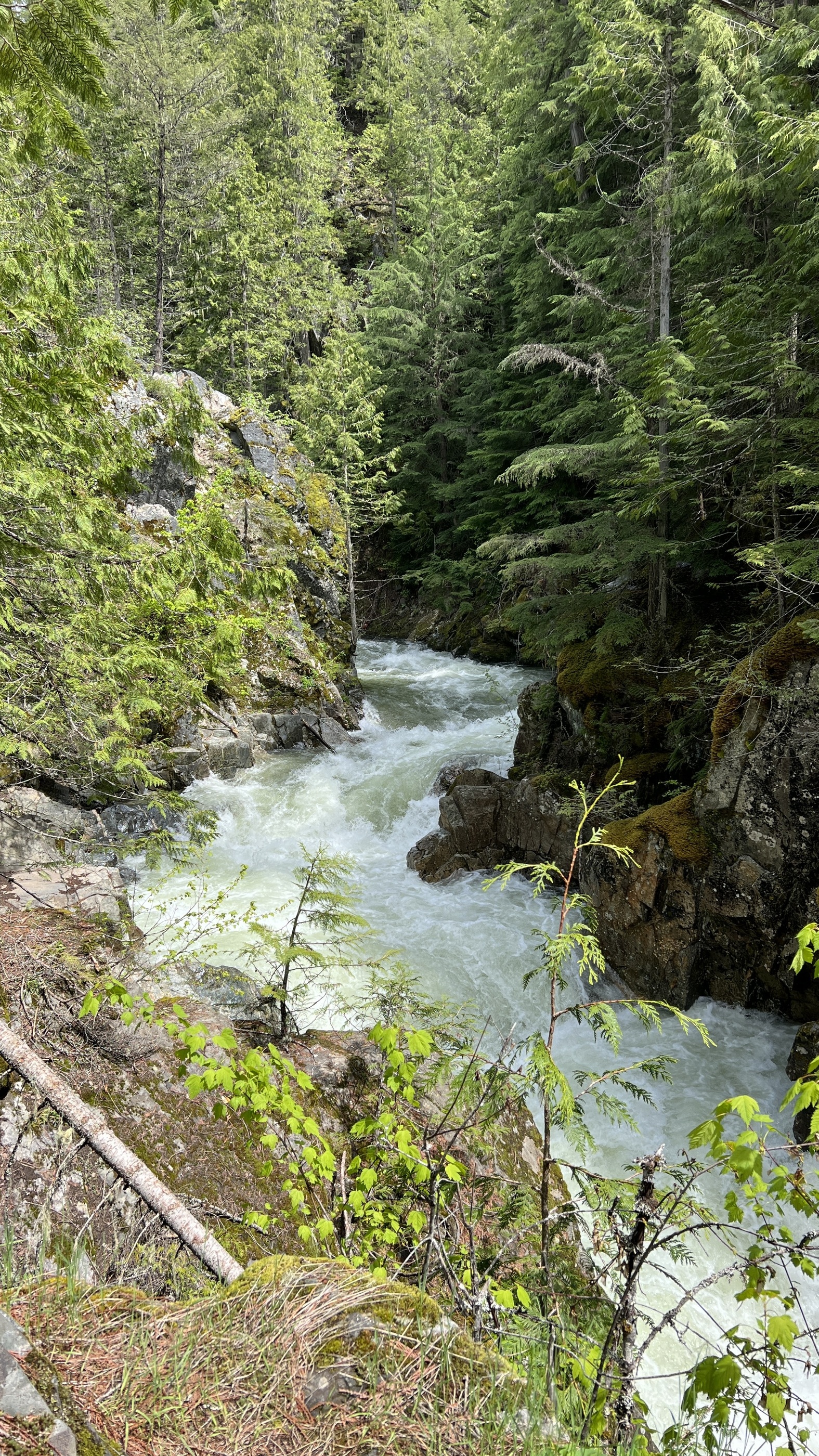 Grouse Creek Falls - Idaho Panhandle NF, ID • Hike