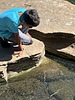 photo thumbnail #10