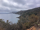 photo thumbnail #10