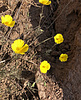 photo thumbnail #11