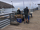 photo thumbnail #4