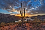 photo thumbnail #11