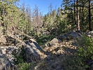 photo thumbnail #4