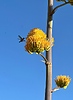 photo thumbnail #12