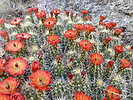 photo thumbnail #10