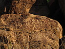 photo thumbnail #13