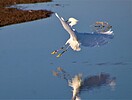 photo thumbnail #10