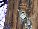 photo thumbnail #12