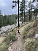 photo thumbnail #2