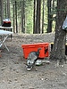 photo thumbnail #4