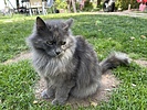 photo thumbnail #6