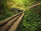 photo thumbnail #11
