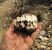 photo thumbnail #14