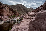 photo thumbnail #5