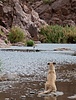 photo thumbnail #11