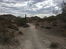 photo thumbnail #2
