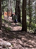 photo thumbnail #2