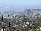 photo thumbnail #3