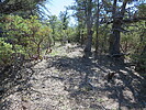 photo thumbnail #3