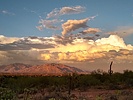 photo thumbnail #2