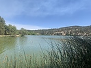 photo thumbnail #1