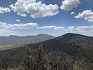 photo thumbnail #3