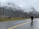 photo thumbnail #7