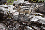 2022-06-07 :3: Saint Mary Falls :: markthurman53