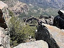 photo thumbnail #2