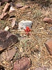 photo thumbnail #6