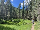 photo thumbnail #4