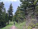 photo thumbnail #3