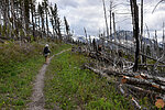 photo thumbnail #5