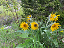 photo thumbnail #14