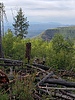 photo thumbnail #9
