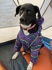 photo thumbnail #4